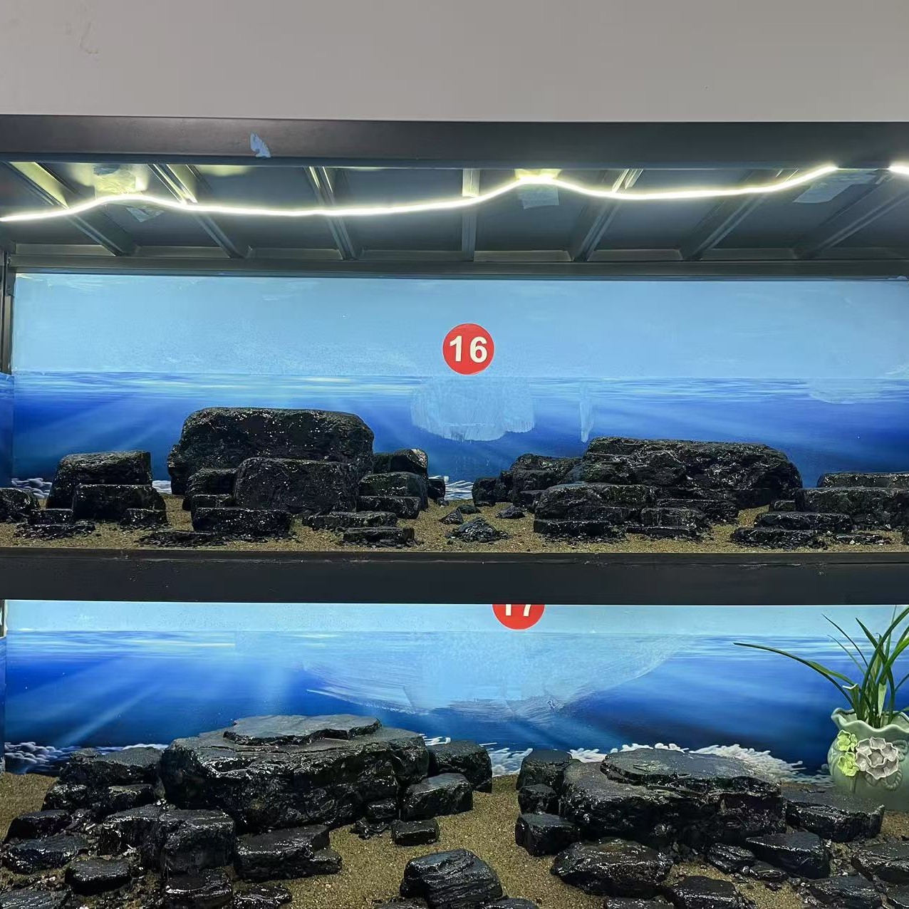 黑金峡谷溪流石（一物一拍）