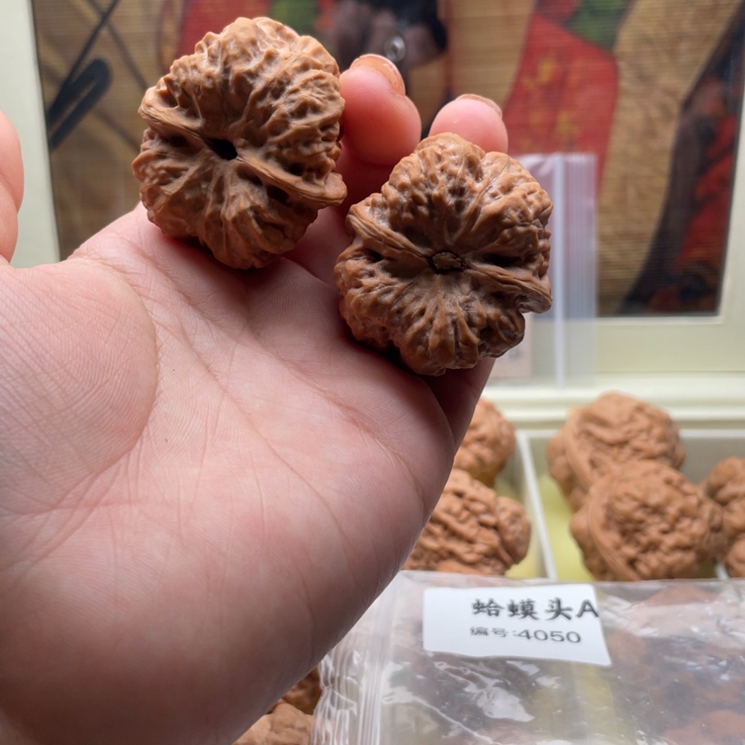 木质类蛤蟆头A4050