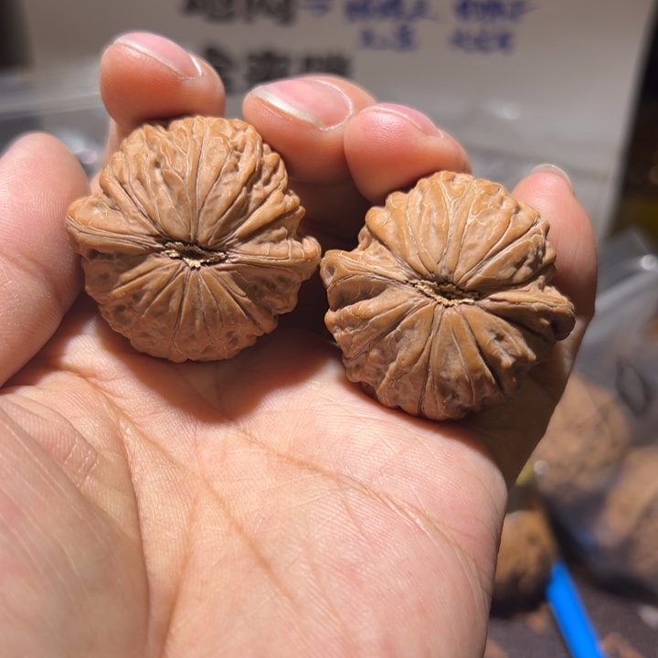 请***凯核桃全品无修铁锤