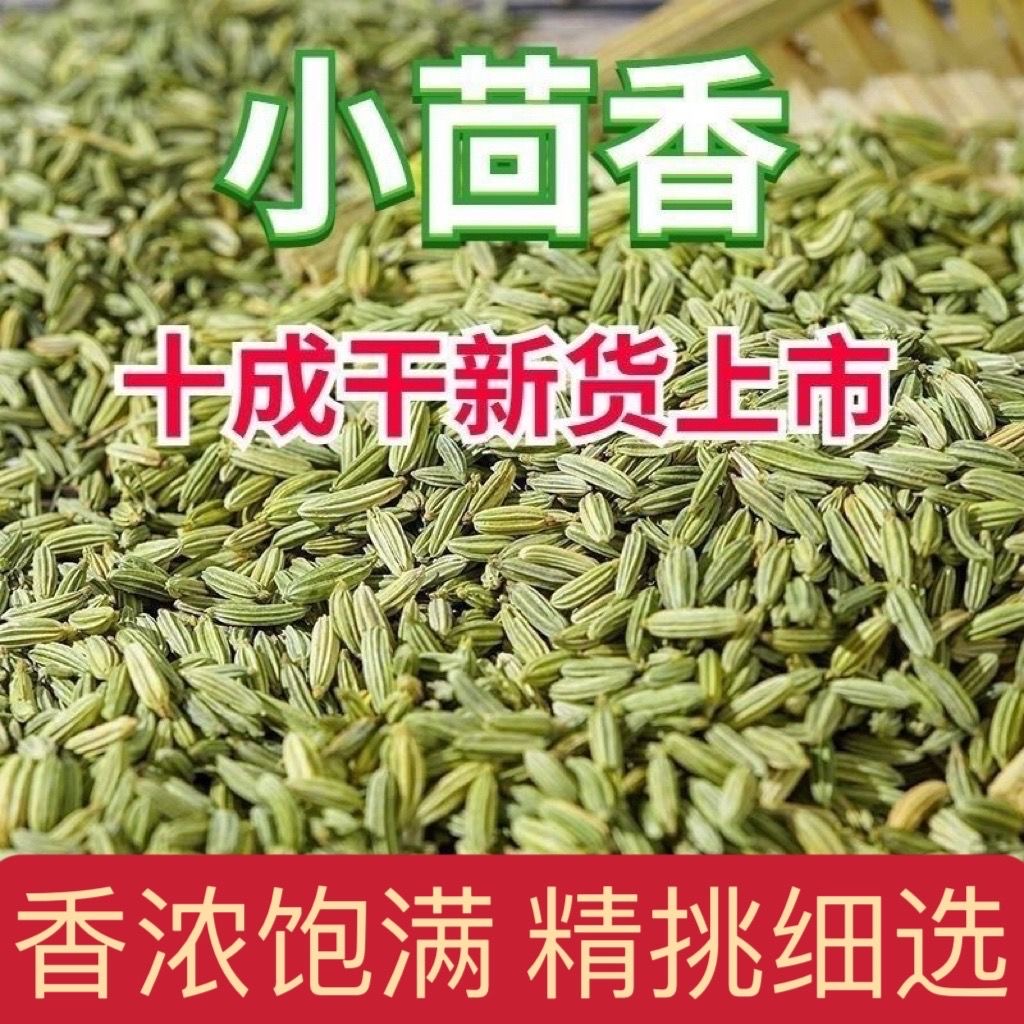 广西小茴香优质调料用于炖羊肉火锅底料等