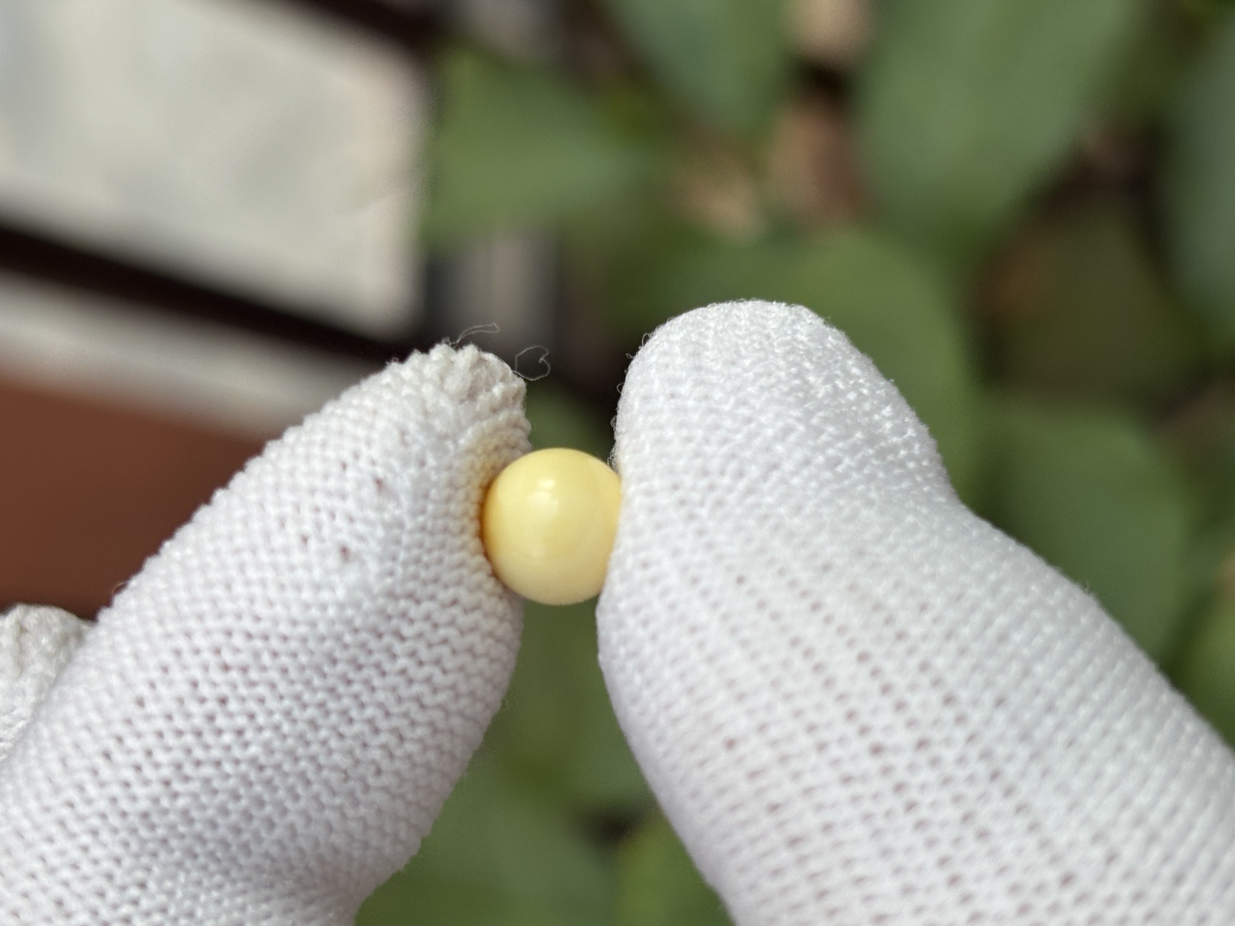 5374天然蜜蜡琥珀微瑕圆珠7.3mm