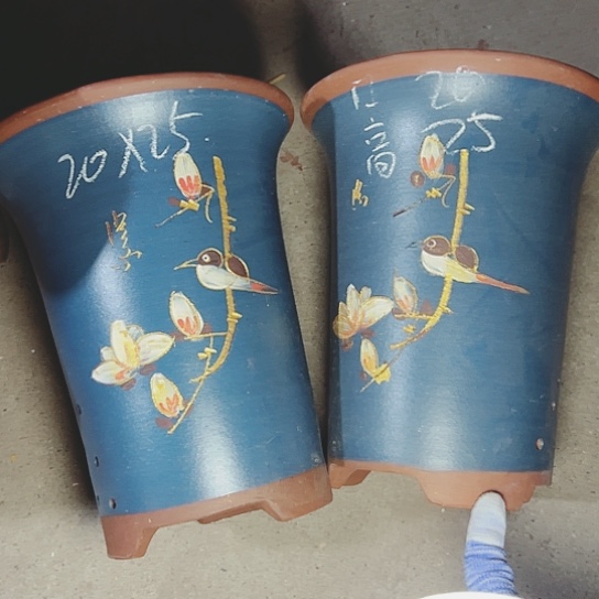 红陶紫砂紫砂紫砂z s x