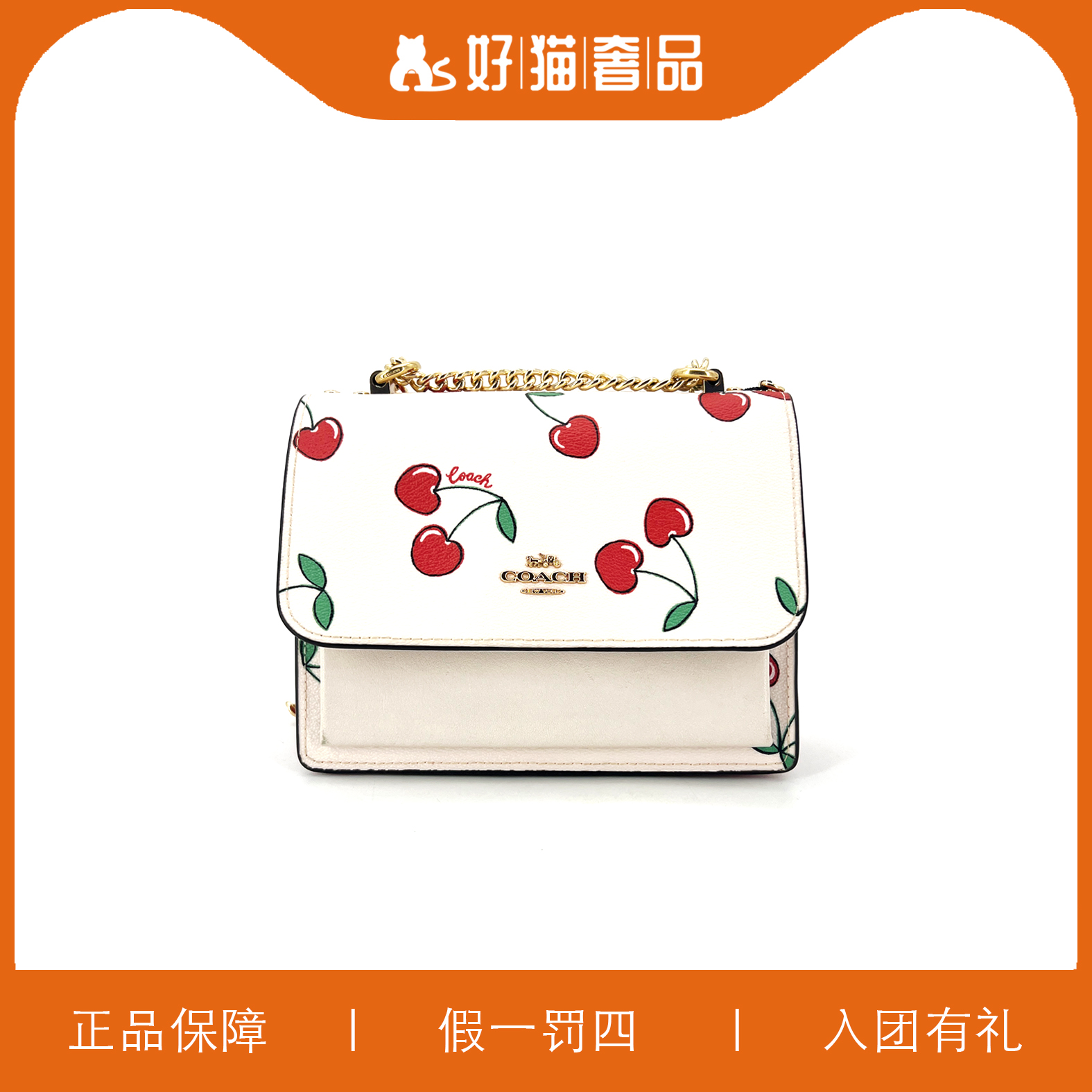 95新 COACH/蔻驰 蔻驰樱桃印花风琴包/P1478/18X14X6