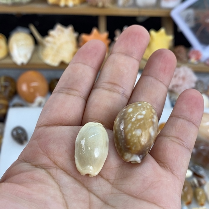 u***8888啦啦啦啦来看看