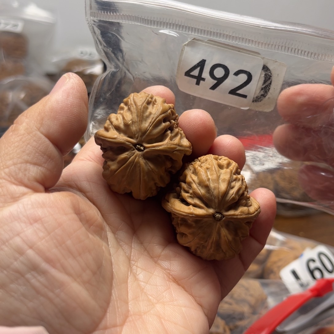 吊坠文玩核桃沾**威凤凰台34