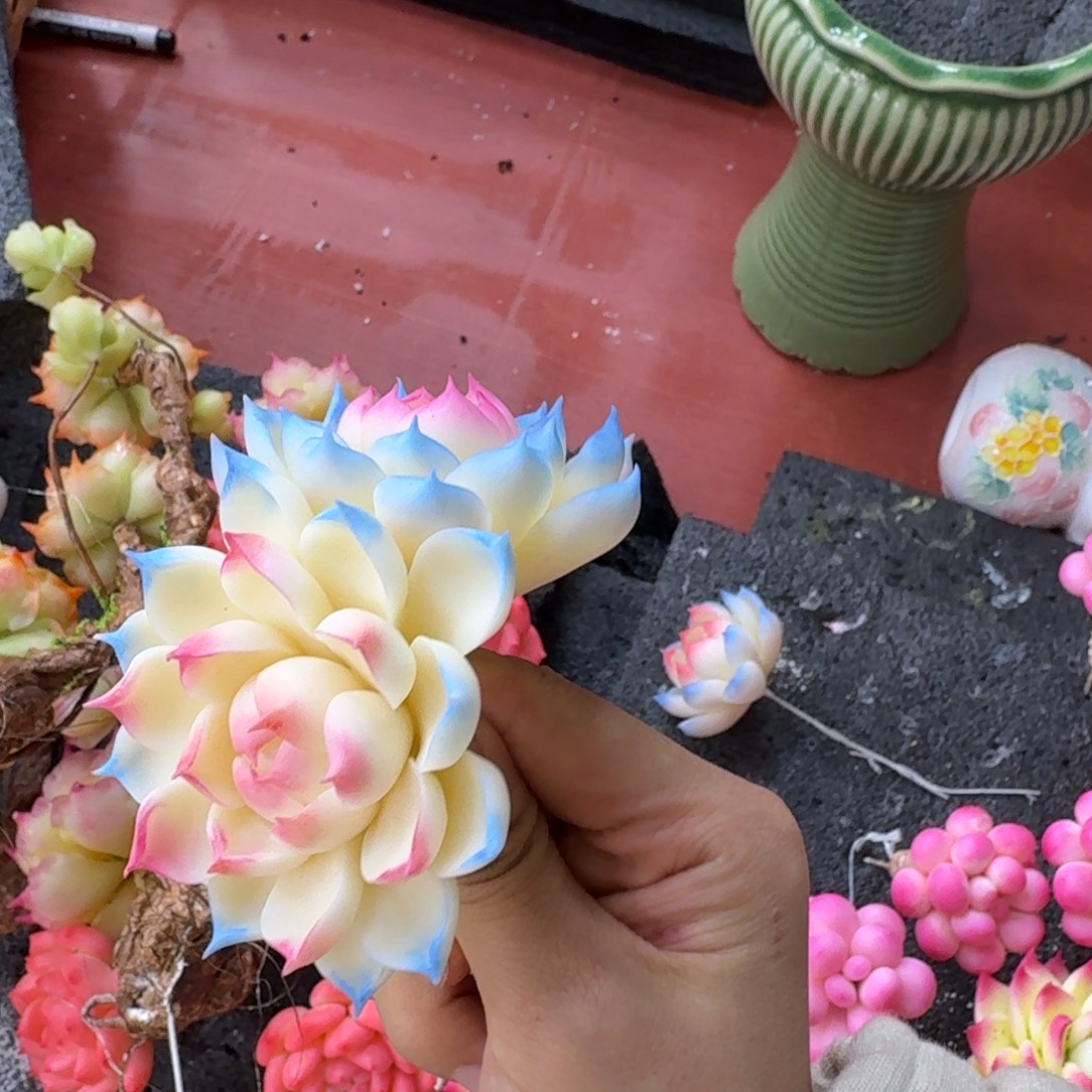 树脂55号哦哦哦哦哦哦哦