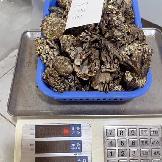 鸡纵超好吃中国大陆