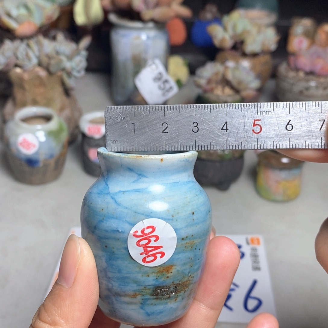 拍5送一个小礼物