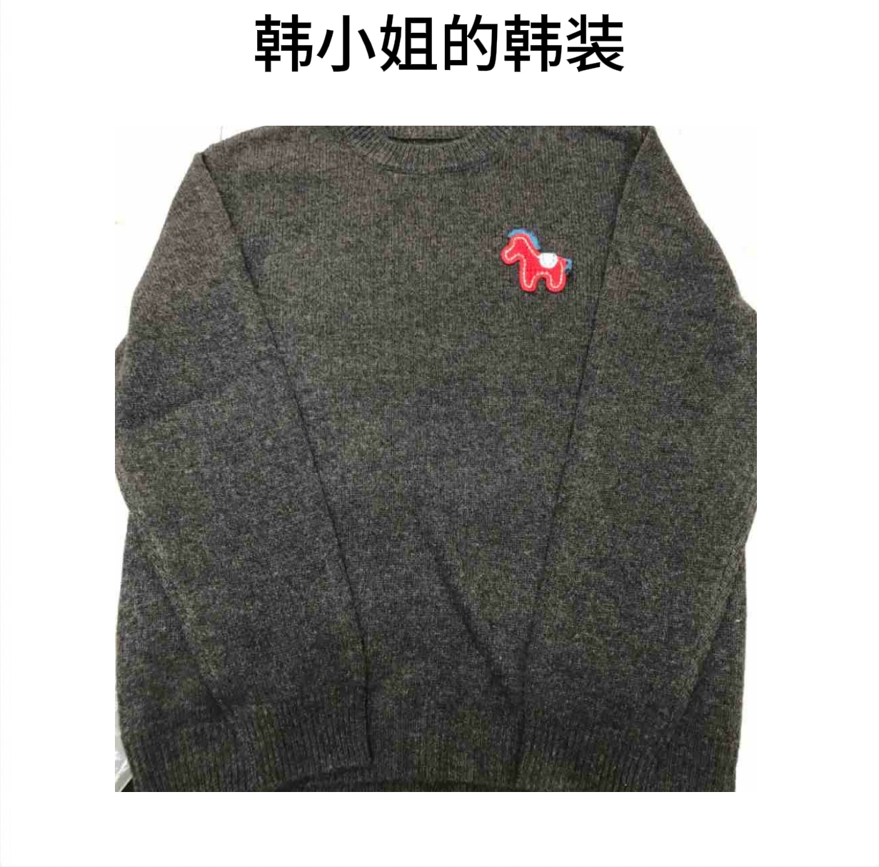 韩小姐韩国东大门刺绣马毛衣09119