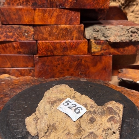 大果紫檀（缅甸花梨）