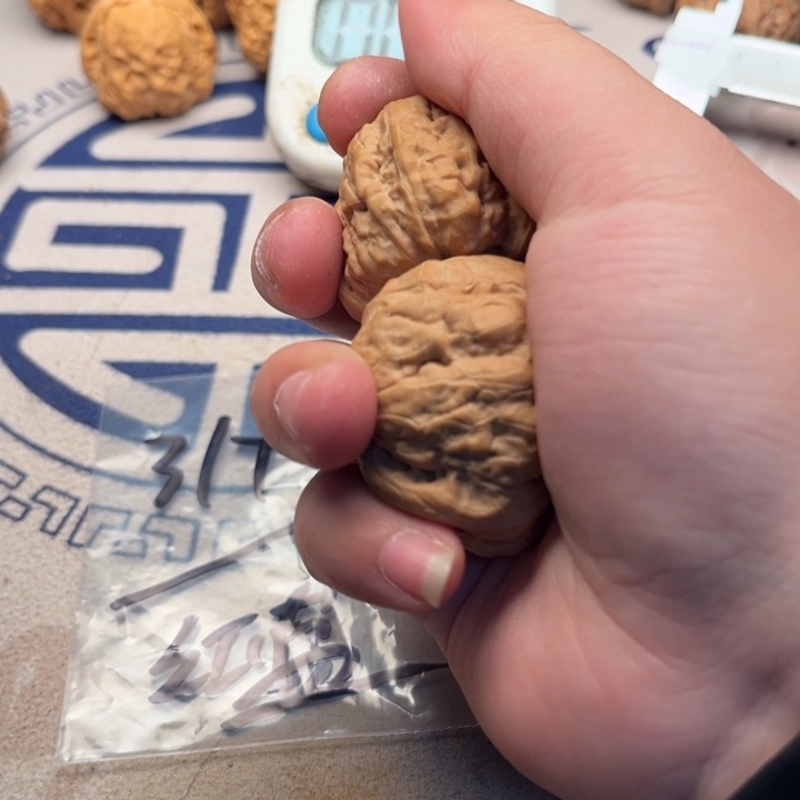 红***蓝文玩核桃吊坠69号