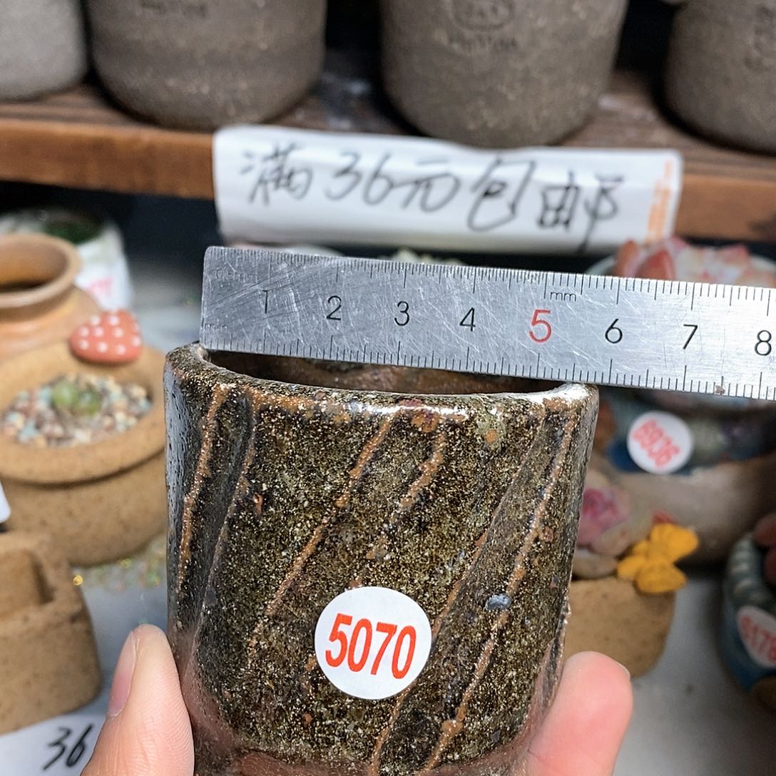 红陶拍5送一个小