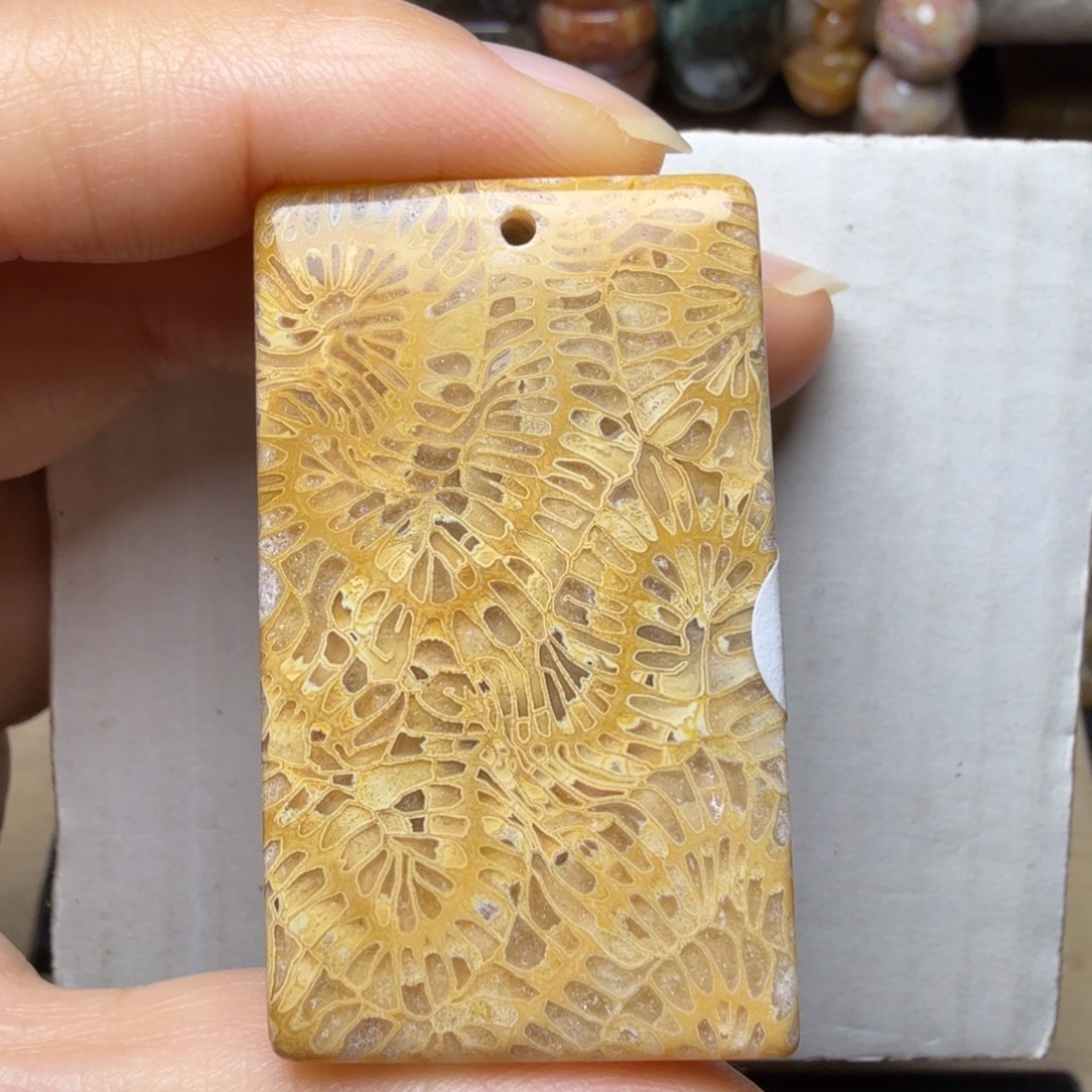 硅化玉未镶嵌闪闪的金黄龙骨纹