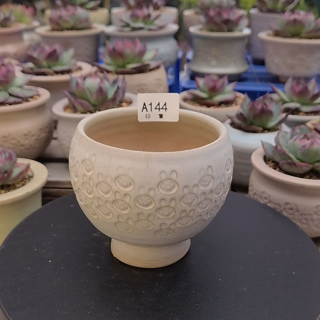 印章多肉花盆编号A144