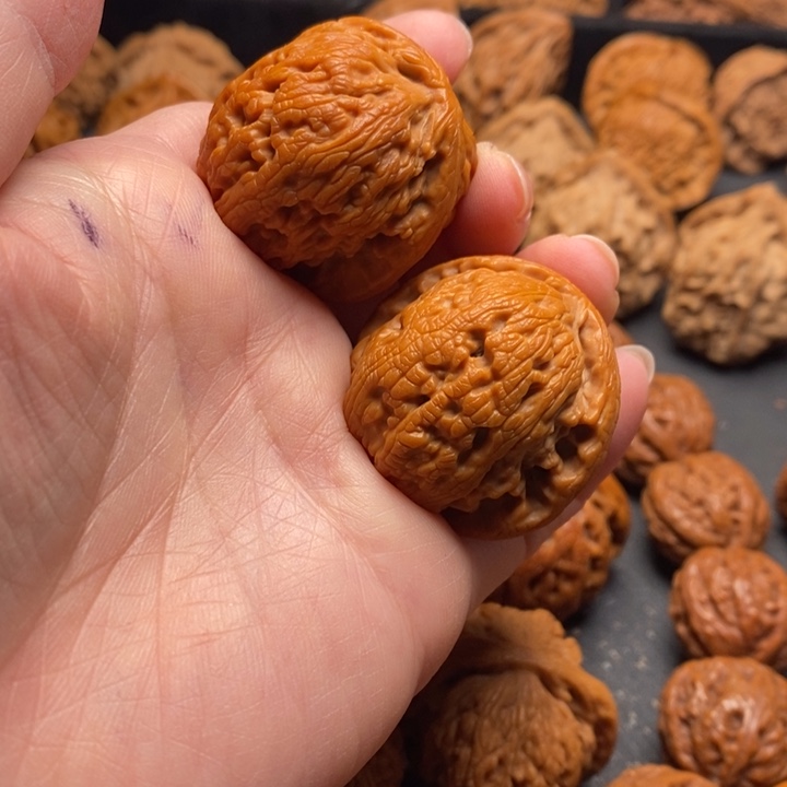 秦岭野生11111111