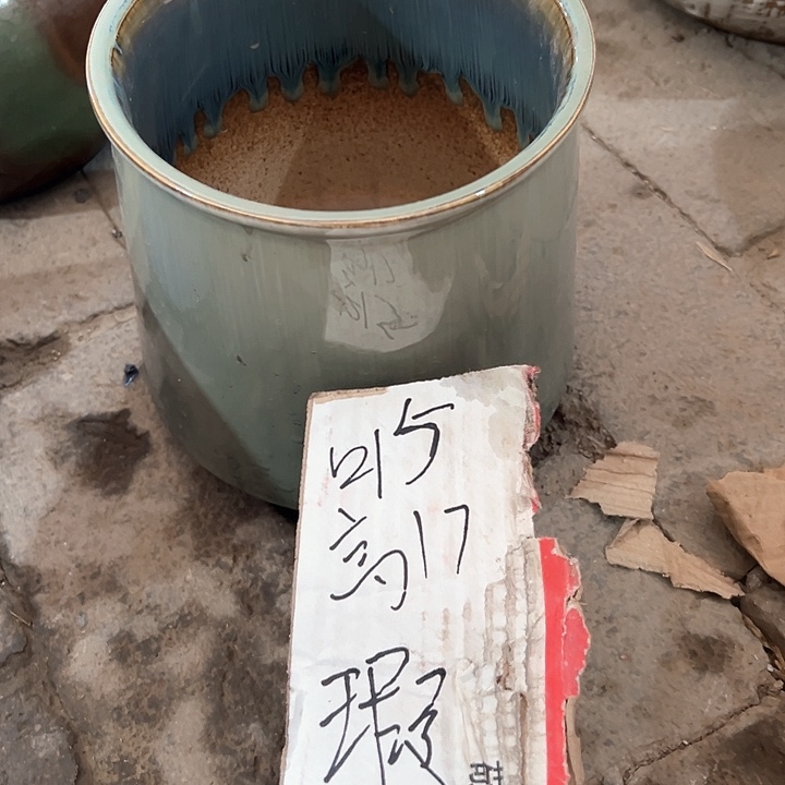 陶瓷景德镇精品花盆栽适合盆栽