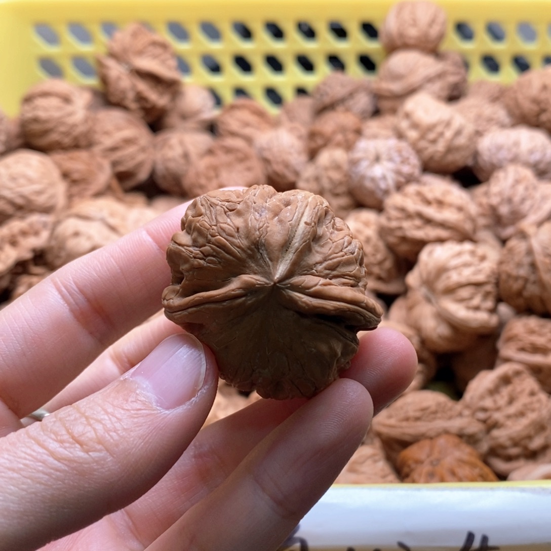 o***哥核桃定制商品不退不换