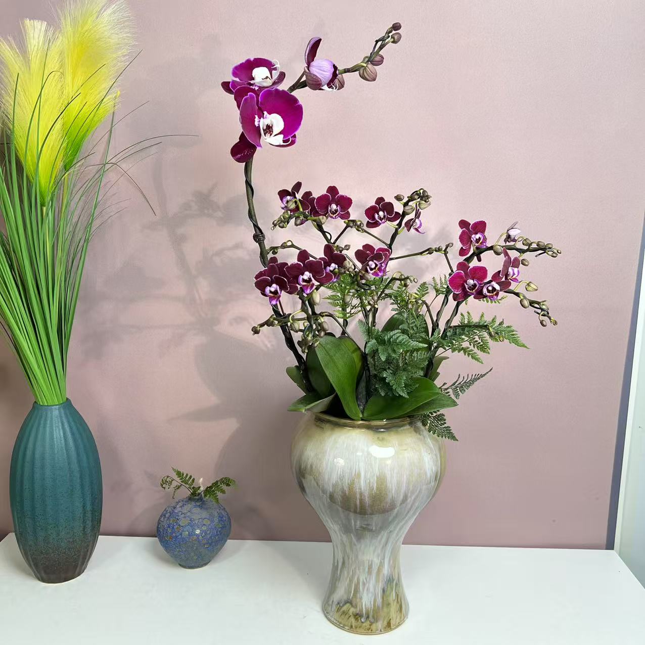 兰语优选【天姿国色】蝴蝶兰轻奢室内绿植花卉艺术盆栽基地直发