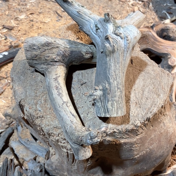 柏木晖***爹太行山区柏木木木