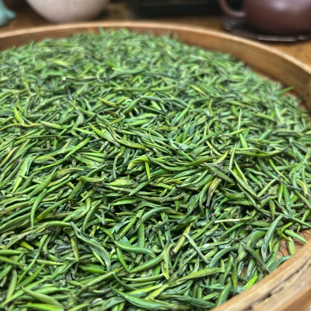 2025新茶天妙明前绿茶竹海翠芽鲜爽回甘明前嫩芽