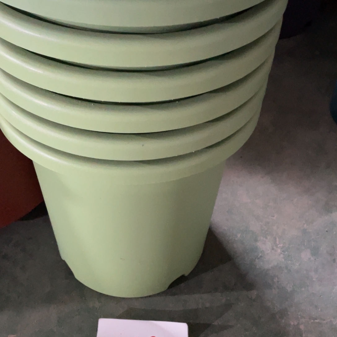 *****编号是49号的49号和