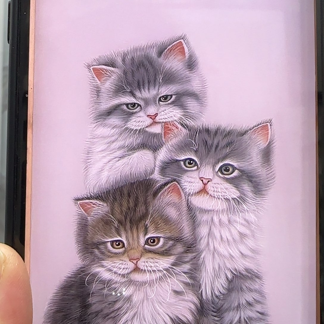 忆***）国画绢本工笔三只小猫贾敏