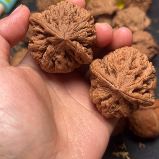 46尺大粗筋全品无修63克多