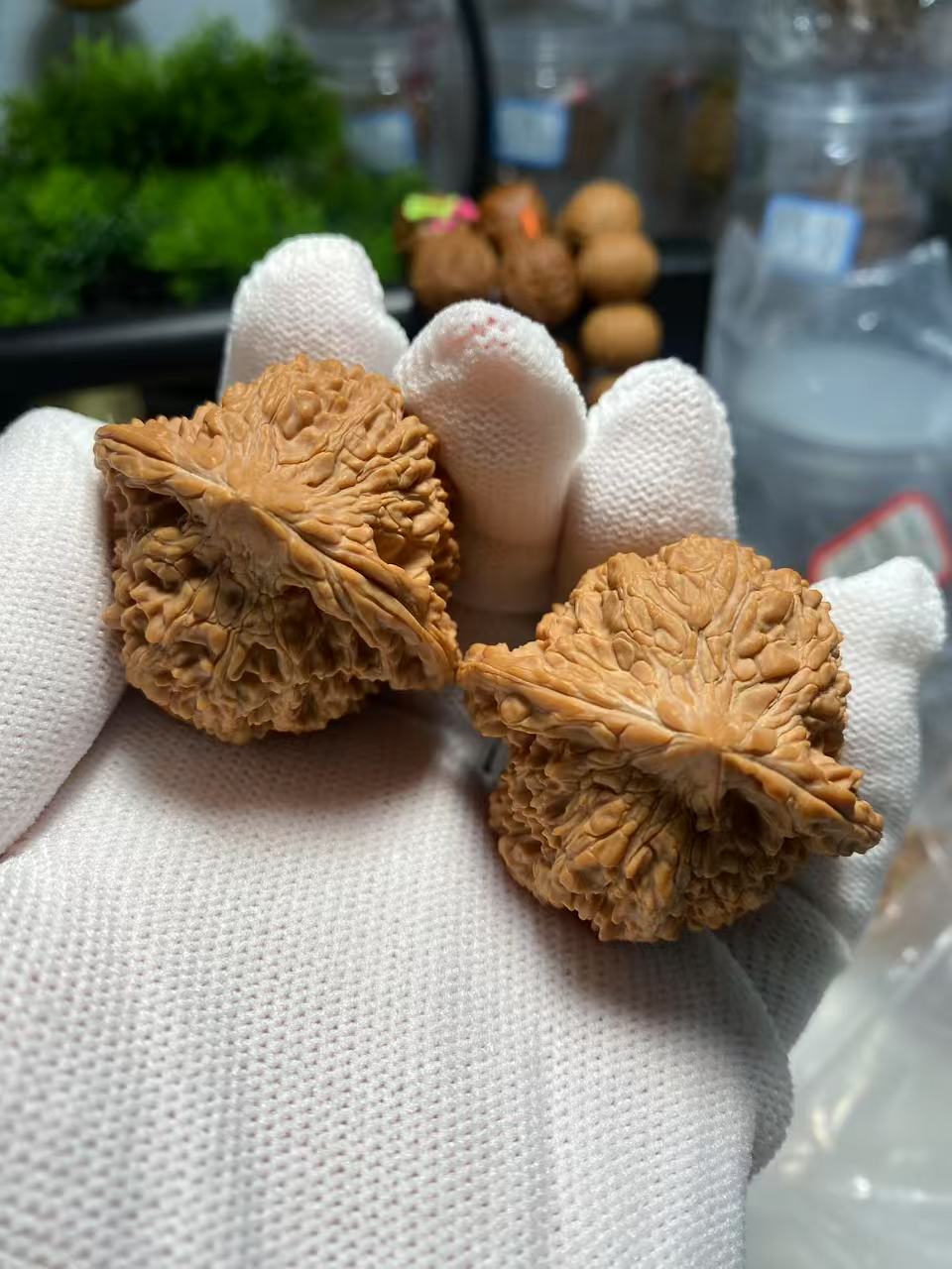 满天星文玩核桃，边尺42，肚子38+，高41+，全品无修