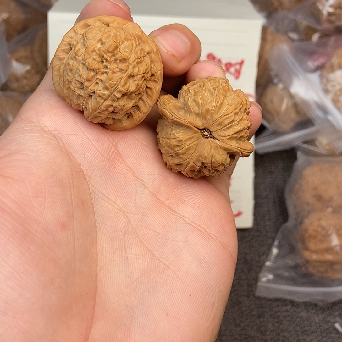 核桃血麒麟35尺寸编号055黄尖不介意拍