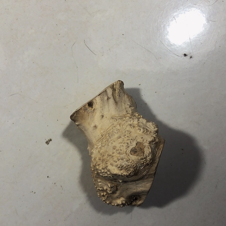 空***雪木木料木料木料木料