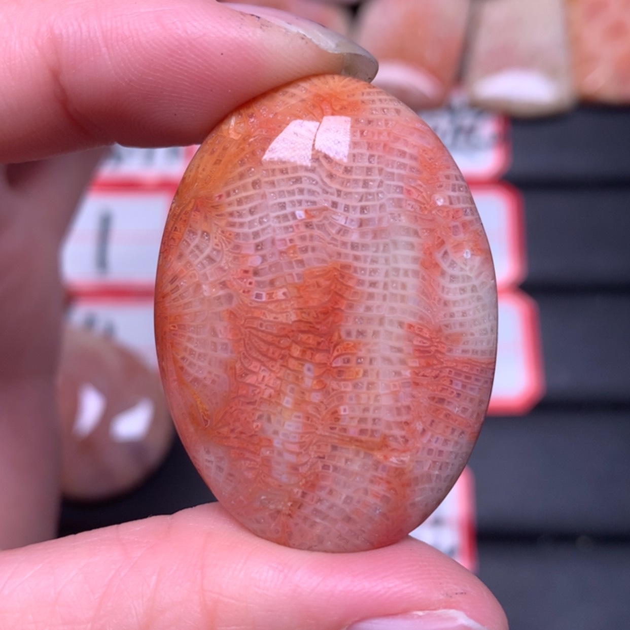 【闪购商品】硅化玉颈饰未镶嵌用****8