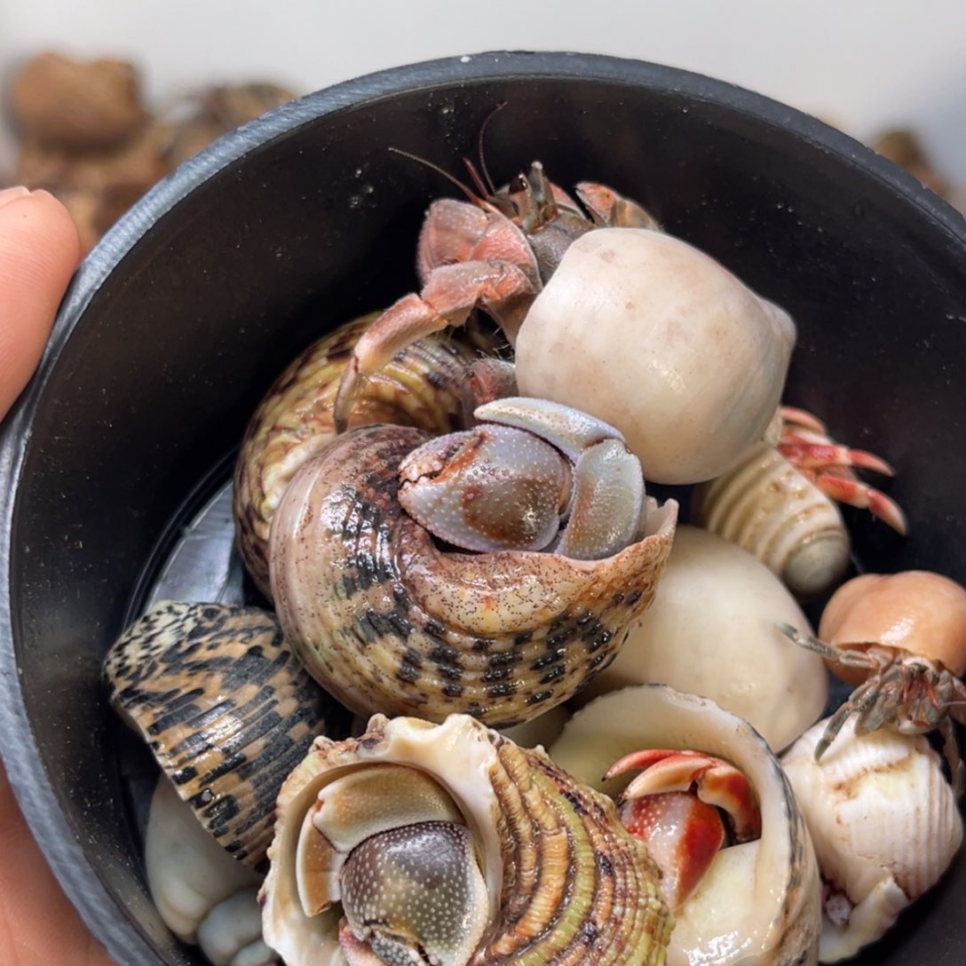 成***子那么这几次也要说一下