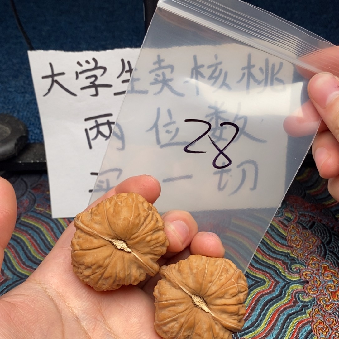 核桃哈哈哈哈哈哈哈哈哈哈哈哈哈哈哈