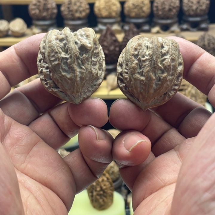 把件文玩核桃筋蟾22