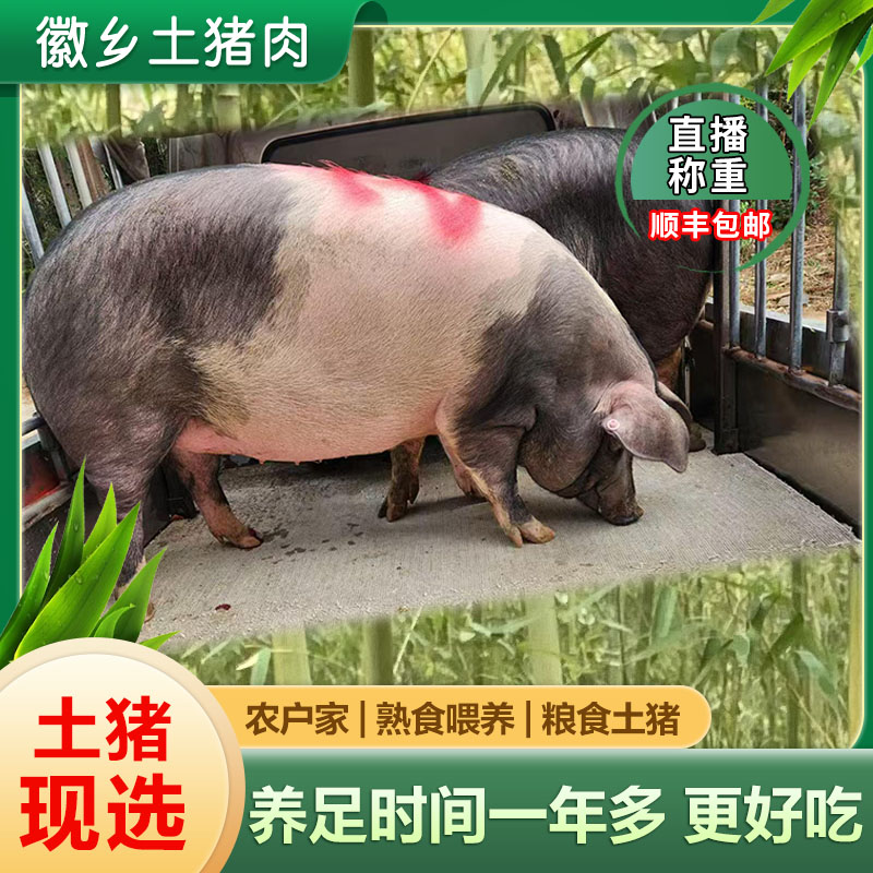 【直播间现称 专拍】皖南徽乡农户半散养原生态 土猪肉（顺丰包邮）