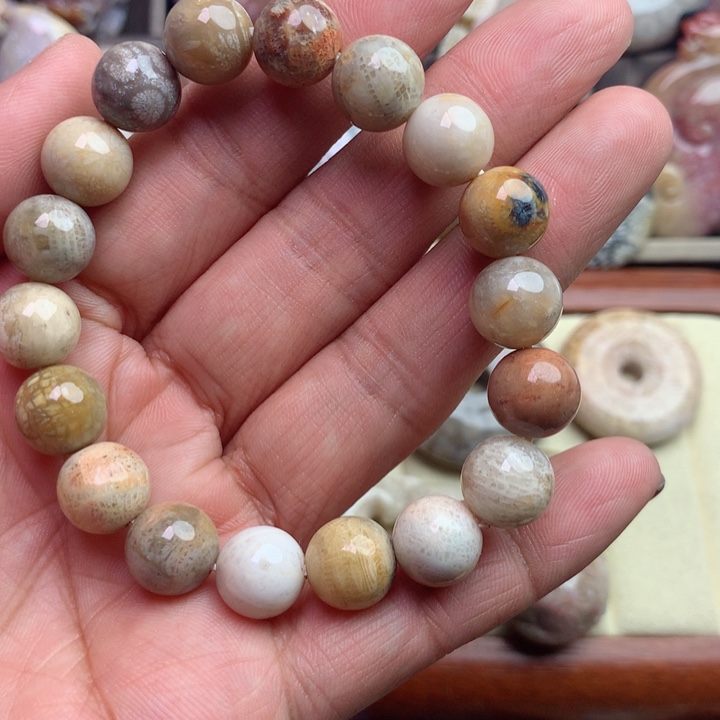 硅化珊瑚（珊瑚玉）颈饰未镶嵌