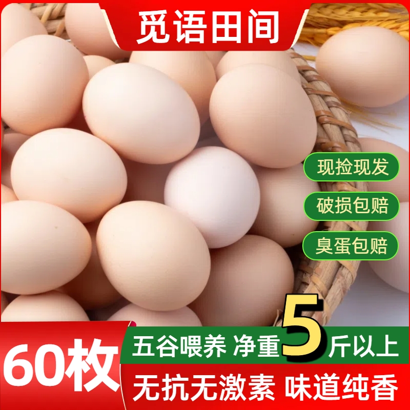 【整箱60枚】农家散养土鸡蛋新鲜 每日甄选45±5克/枚 净重5斤以上