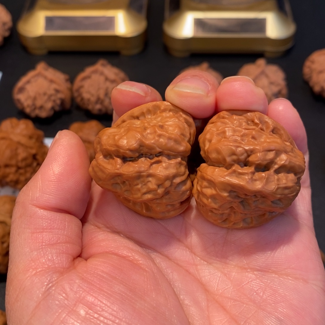 会***树把件文玩核桃蛤蟆头