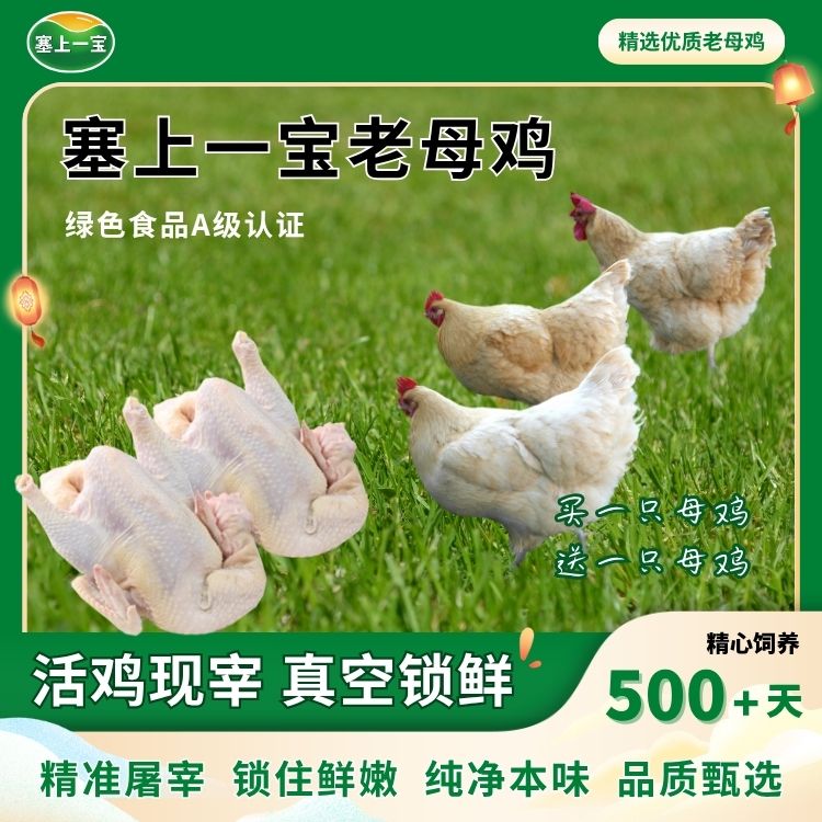 【顺丰包邮】炖汤老母鸡农家纯种土鸡新人福利买一只赠一只