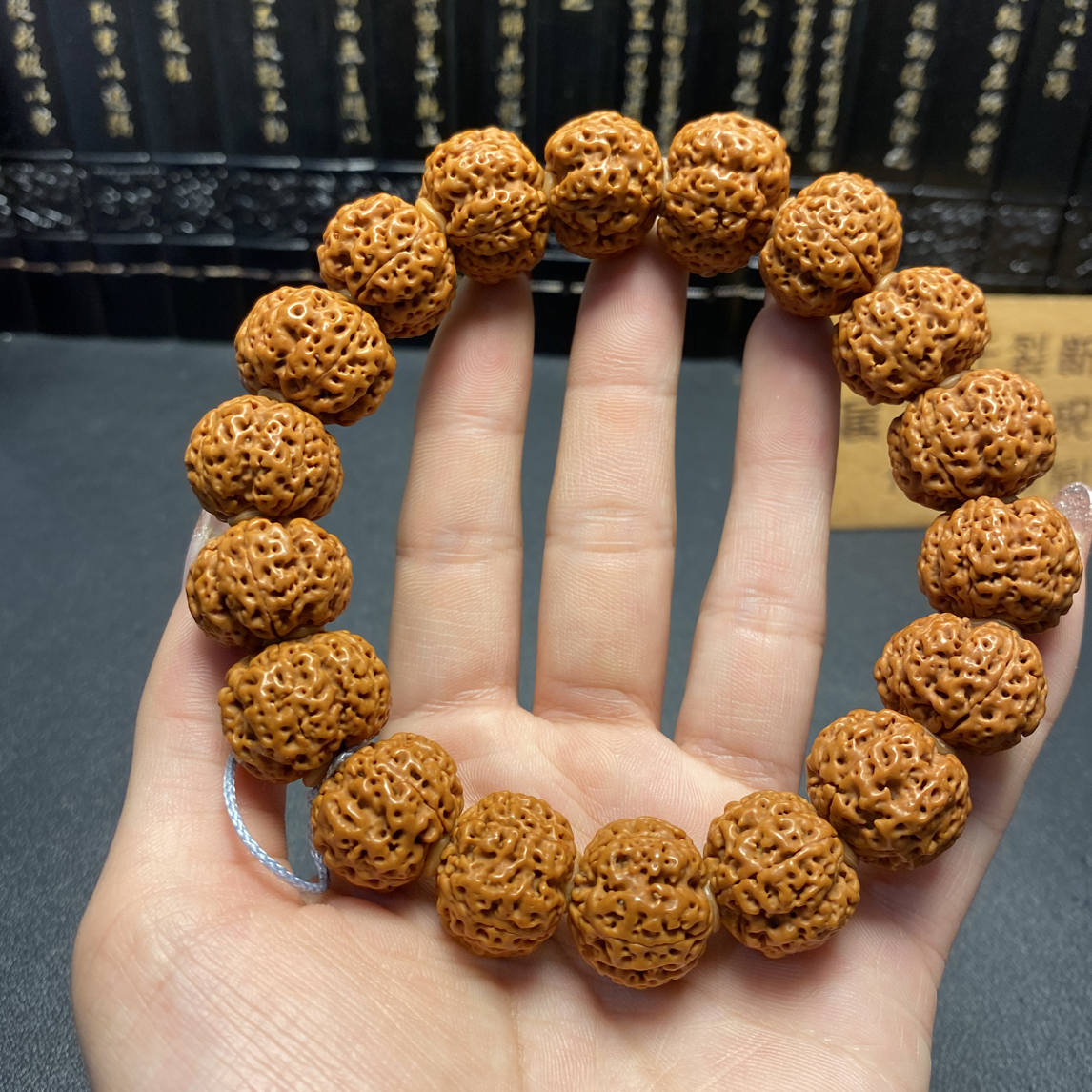 新品，小尺寸小精灵蜂王（1号）