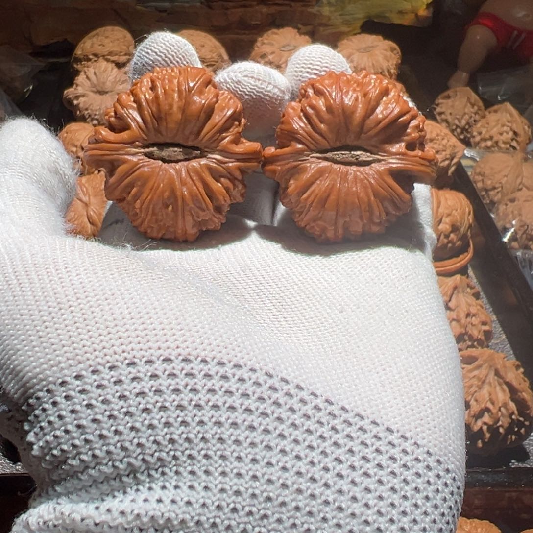 文玩核桃把件白狮子大眼睛42