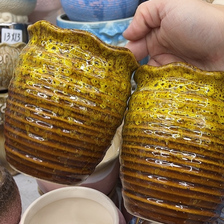 多肉植物陶瓷花盆