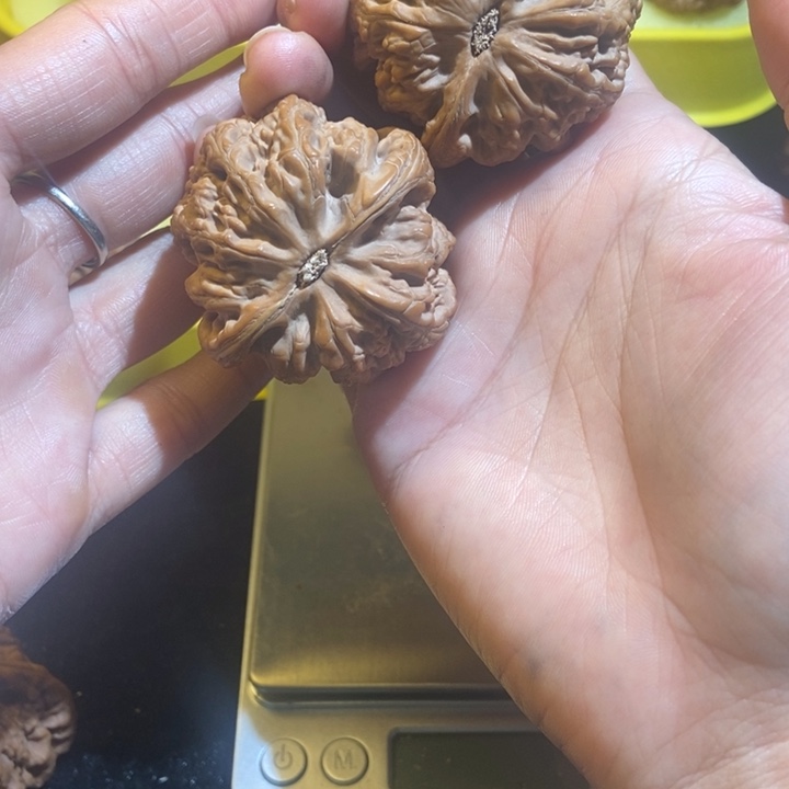 文玩核桃吊坠粗筋狮子头