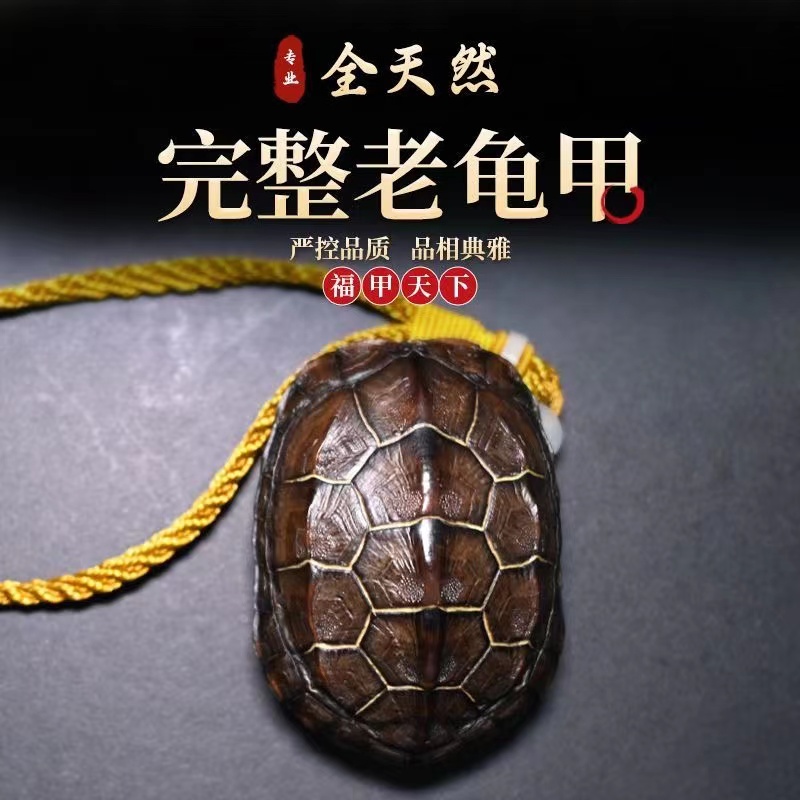 龟壳文玩手把件摆件直播间选款一物一拍