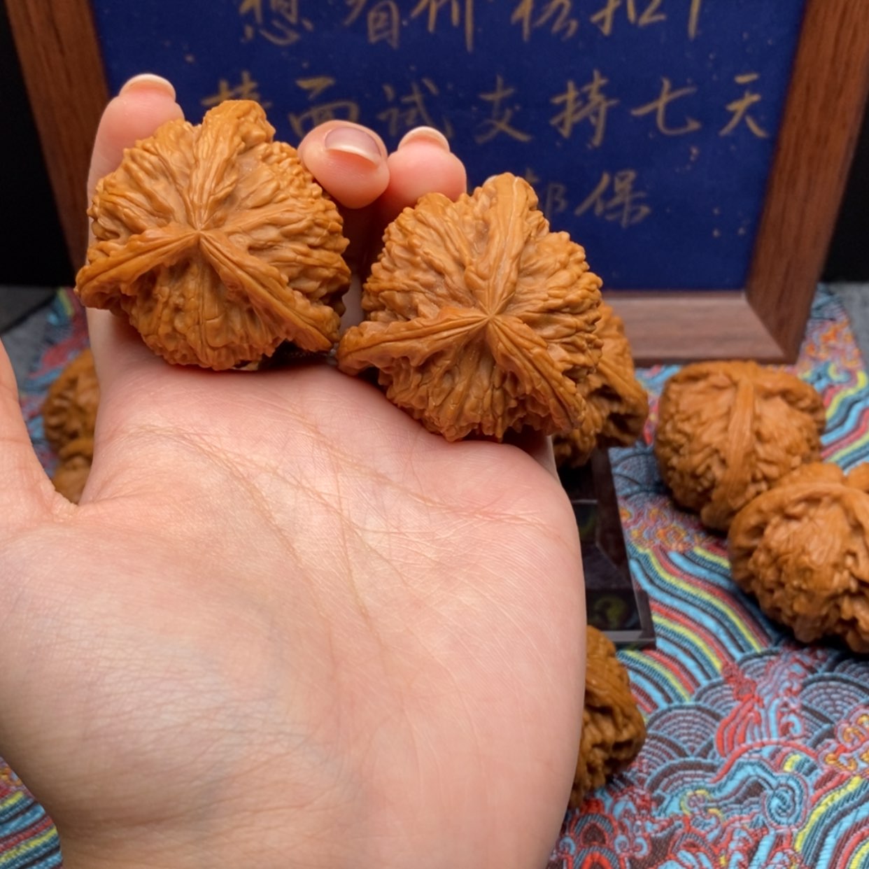 【闪购商品】q****3白狮