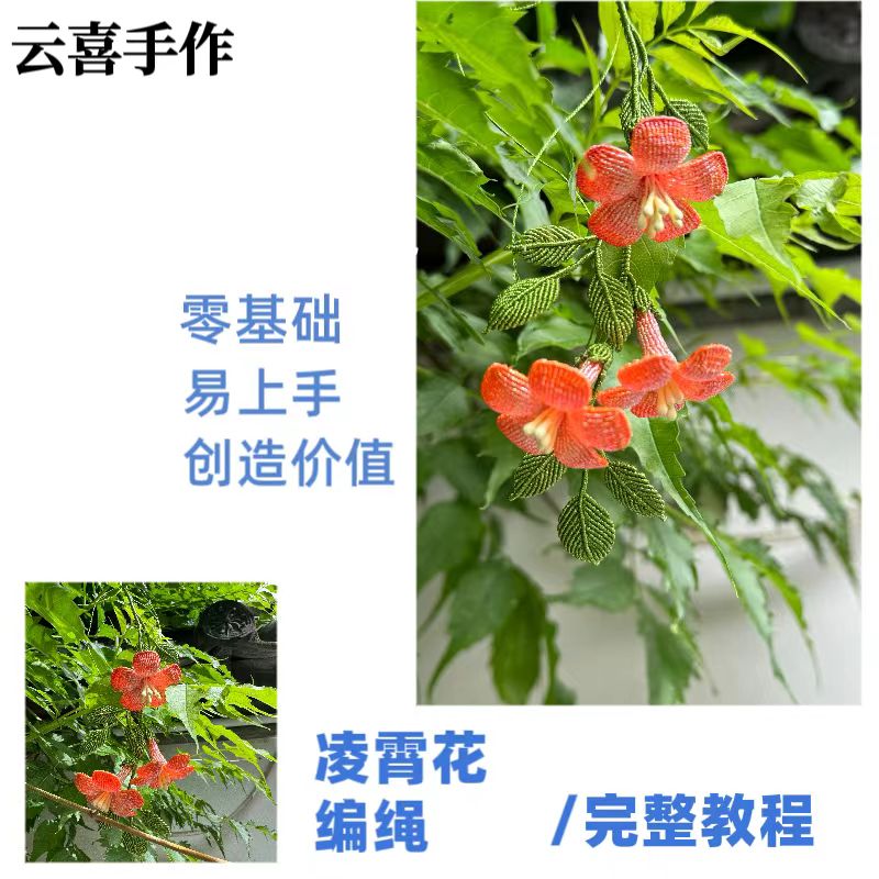 云喜好课之凌霄花绳编教程