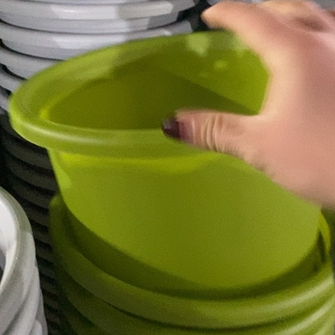 树脂四季6号果绿无托7个特价