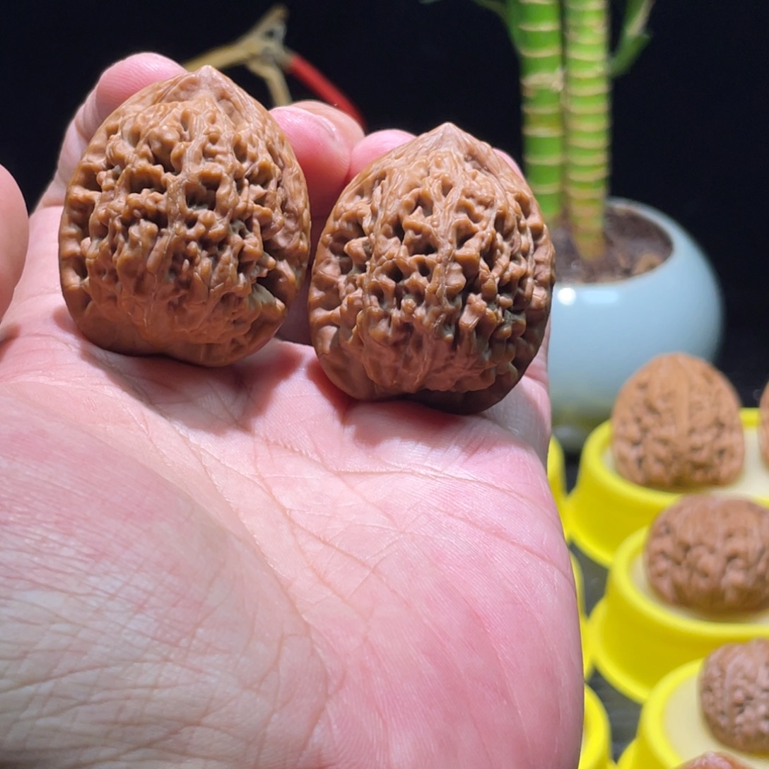 文玩核桃把件36全品老款小众蚂蚁王红皮大克重