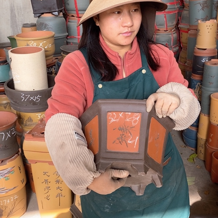 紫砂花盆盆栽花卉苗木种植