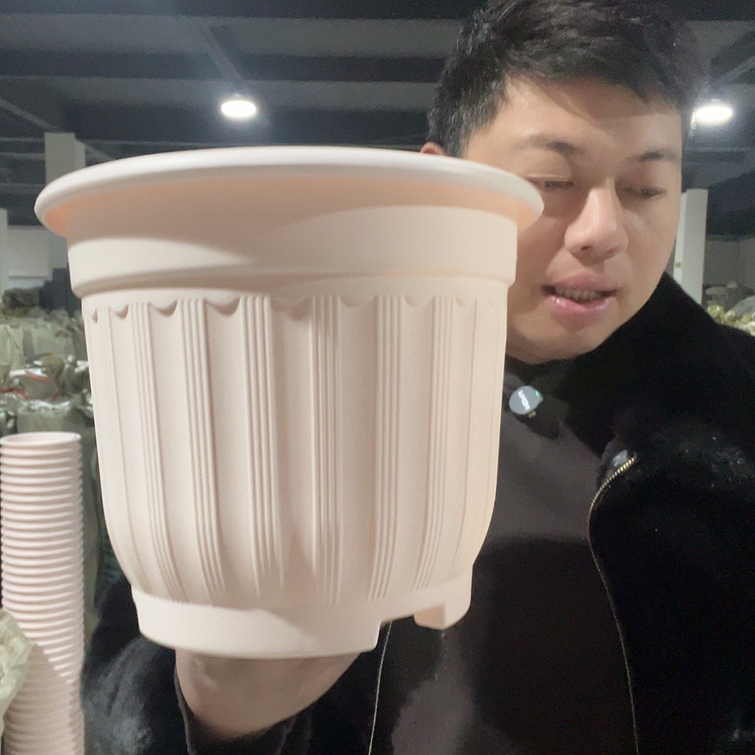 树脂罗马240粉色4个无托